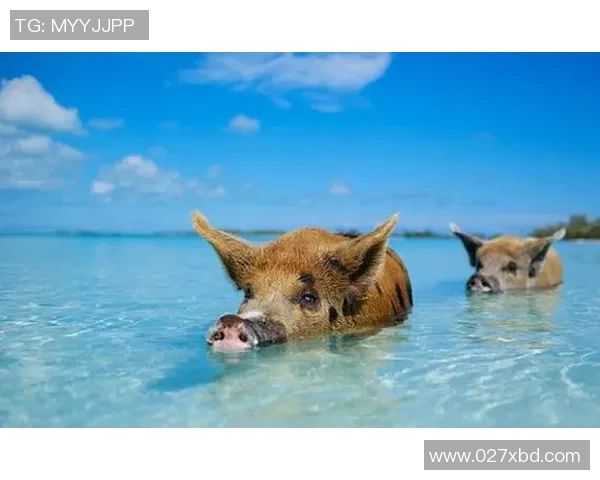 阿根廷球星谷地:探索足球天堂背后的传奇与崛起之路